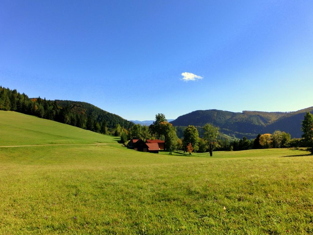 Gaestehaus Forstner Loich Kültér fotó