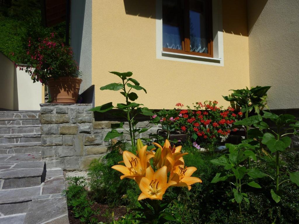 Gaestehaus Forstner Loich Kültér fotó