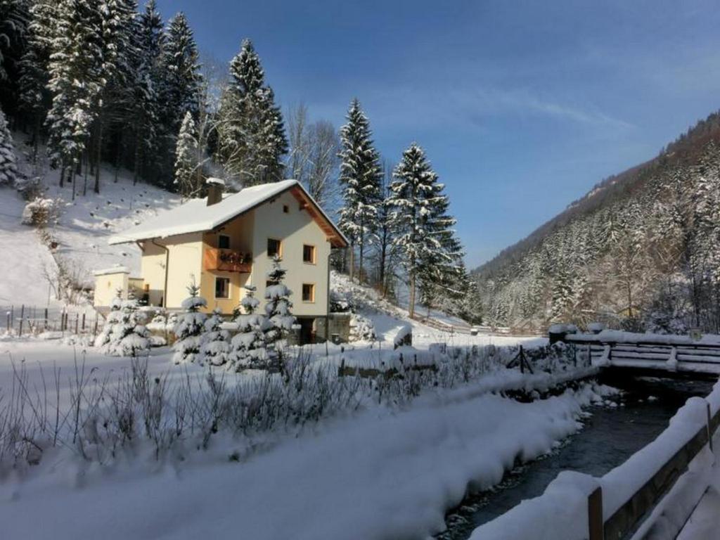 Gaestehaus Forstner Loich Kültér fotó