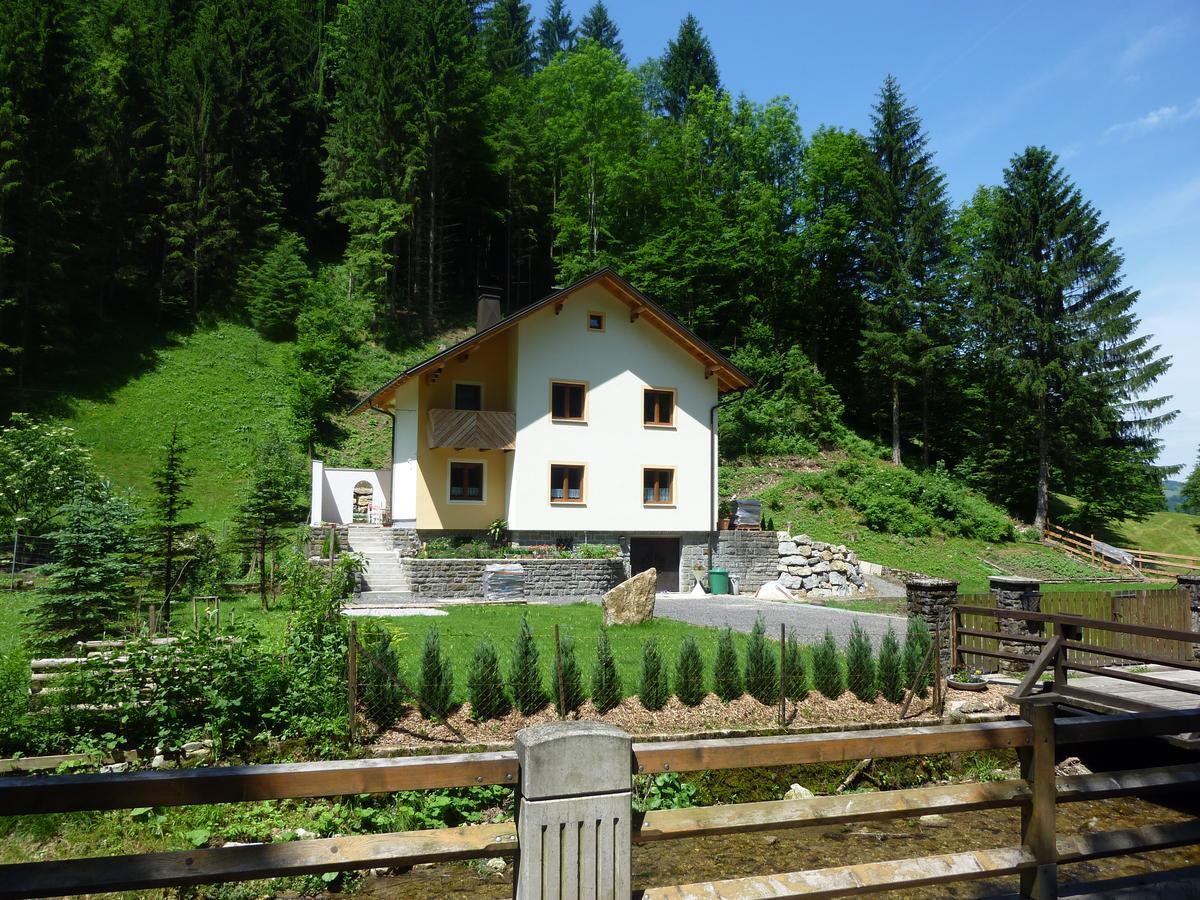 Gaestehaus Forstner Loich Kültér fotó